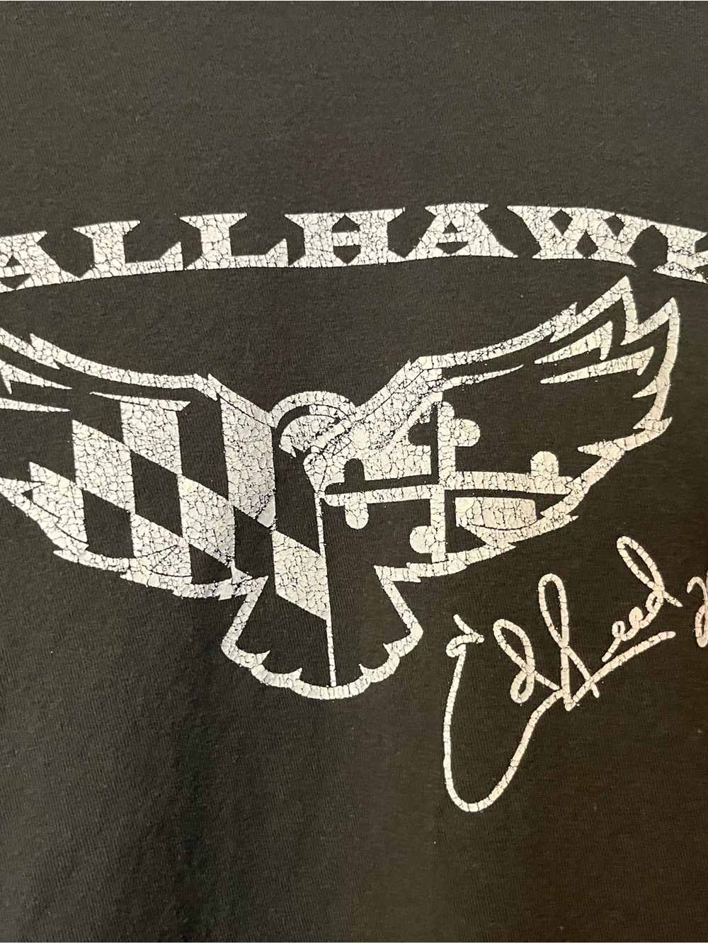 Ballhawk Ed Reed Baltimore Ravens - Picture 2 of 2